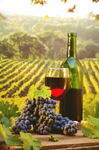 The Best Hudson Valley Wine Tours Limo Service